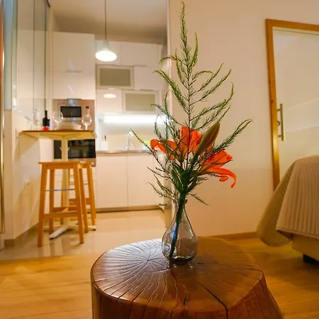 Apartment Destino City Apartments *